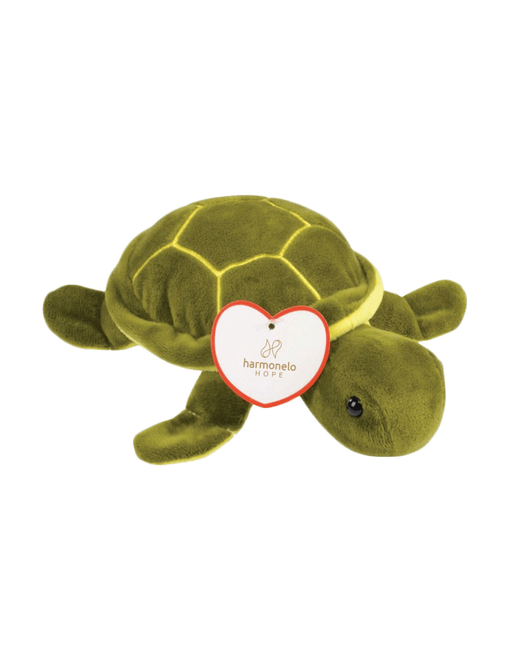 TOY_TURTLE